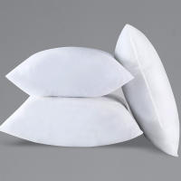 Inserto De Cojín Suave Y Grueso Para Decoración Del Hogar Blanco 30x50cm 45x45cm 50x50cm Estilo Americano Poliéster 100% - details 0
