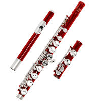 Flauta Transversal SLADE 16 Agujeros C Key Con E Key Plata Esmaltada Instrumento Musical Profesional Para Conciertos - details 7