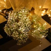 Luces LED USB Cadena De Luces De Cobre Y Plata Guirnalda De Luz Impermeable Para Decoración De Navidad Y Bodas Al Aire Libre - details 8