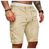 Shorts Casuales Para Diario Viaje Pantalones De Hombre Estilo Regular Cintura Media Polyester Primavera Verano Con Bolsillos - details 0
