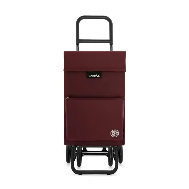 Carro de Compras Rueda Plegable Térmico con Bolsa Aislante e Impermeable | Diseño Plegable, Ligero y Resistente con Gran Capacidad | Ruedas Estables para un Transporte Cómodo y Seguro - 1