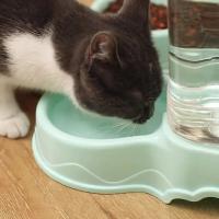 Dispensador Automático De Alimentos Para Mascotas 3.8L Material PP Gran Tamaño Para Gatos Y Perros Cuenco De Agua Automático - details 10