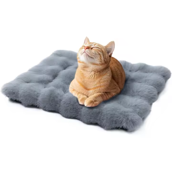 Camas para gatos de interior, lavables, planas y pequeñas, con manta mullida para cachorros y colchón de felpa. - 1