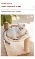 Gimnasio Para Gatos Con Dos Capas Torre De Subida Para Gatos Poste De Rasguño Con Bola Colgante Y Hamaca De Coco Árbol De Gatos Para Interior Madera De Pino Resistente Al Desgaste - details 5