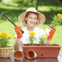 Herramienta De Jardinería Multifuncional Para Eliminar Malas Hierbas Y Raíces De Hierba Carbono Acero Con Mango De Goma Para Yarda Y Jardín - details 0