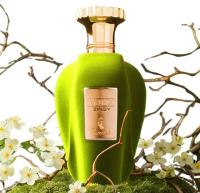 Voux Zingy by Paris Corner – Citrus Mint Perfume Spray 100ml | Fresh, Long-Lasting Fragrance for Daily Wear | Made in UAE - details 0