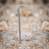 6pcs/10pcs Clavos De Tienda De Térmico Con Encaje Para Acampar Accesorios De Camping Resistente Al Desgaste Y Peso Ligero - details 3