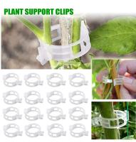Clip De Planta Reutilizable De Plástico Para Soporte De Tomates Y Enraizamiento De Hiedras En Jardín De Verduras Pack De 50/100/200 - details 0