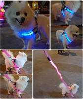 Arnes Ajustable Para Perro Con LED No Pull Nylon Brillante Para Pequeños Y Medianos Seguridad Nocturna Accesorios Para Mascotas - details 9