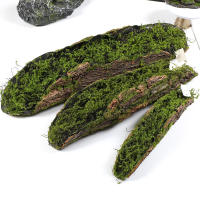 Bloques De Molusco Para Plantación De Hierba Falso De Madera Verde Para Decoración De Jardín DIY Estilo Bonsái - details 4