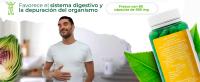 Verde de Alcachofa Soria Natural - Suplemento con Propiedades Digestivas, Depurativas y Diuréticas - 80 cápsulas de 580 mg. - details 2