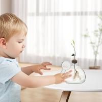 Kit De Crecimiento De Semillas De Agarrope Vaso De Vidrio Transparente Para Cultivo De Semillas Regalo Para Amantes Del Jardín Decoración Del Hogar Estilo Moderno - details 2