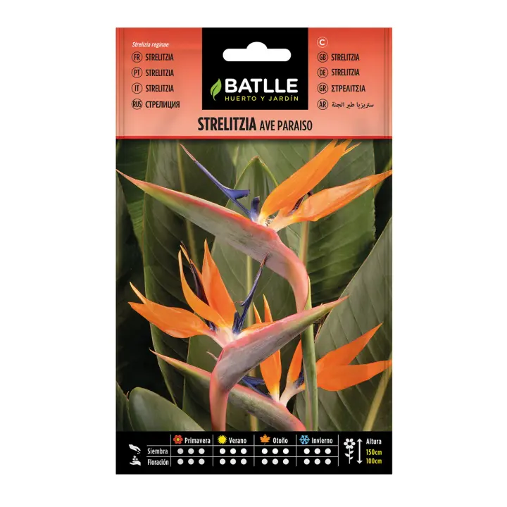 Batlle Semillas de Strelitzia Ave del Paraíso para Decoración de Jardines y Flor Cortada - 1