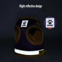 Correa Y Arnes Para Perro Y Gato De Malla Transpirable Para Verano Con Reflejos Seguro Para Chihuahua Yorkies Arnes De Cuello Básico Para Mascotas - details 8