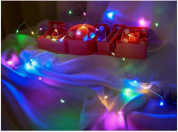 Luces De Cadena LED Con Hilo De Cobre 2M 3M 5M 10M Para Decoración De Fiesta De Boda Y Navidad Iluminación De Guirnalda Eléctrica Al Piloto - details 17