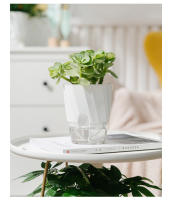 Maceta Hidroponía Automática Transparente Doble Capa De Plástico Para Oficina Maceta Self Watering Para Plantas Y Flores - details 11