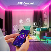 Tira De Luces Neón LED RGB Controlado Por WiFi Y Bluetooth Tuya Smart Life Alexa Google Home Decoración Exterior Jardín IP65 - details 3