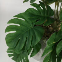 Planta Artificial De Valla Peacock Y Tortuga Hoja Begonia Verde Hierba En Maceta Para Decoración De Balcón Y Jardín Interior - details 15
