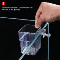 Cesta Para Plantas De Acuario Transparente Decoración Colgante Para Tanque De Peces Soporte Para Plantas Acuáticas - details 5