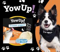 YOWUP! Pack 3 Yogures y 3 Helado Variados para Perros - Salmón Tartar, Pollo Manzana y Bacon Cake 110gr X 3 Unds, Yogur Natural, Pollo y Salmón 115gr X 3 - details 1