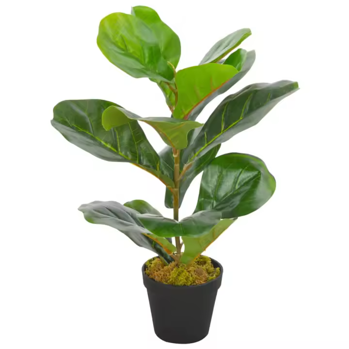 vidaXL Planta Artificial Ficus Verde Maceta Flores Decorativas Plástico Dimensiones 45 cm, 90 cm - 1