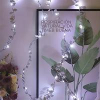 Guirnalda De Plantas Artificiales Con Luces De Hadas Doradas Y Plateadas 20/50/100 LEDs Para Bodas Y Fiestas En Casa Iluminación De Batería Incluida - details 11