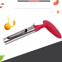 Aguja De Manzana De Acero Inoxidable Retirador De Semillas Y Cortador De Frutas Y Verduras Herramienta De Cocina Ecológica Y Resistente - details 0