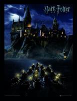 Pyramid International Cuadro Harry Potter (Hogwarts School) Framed 30 x 40cm - details 0