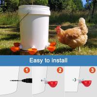 Kit De Alimentador Automático Para Pollos 4PCS Tazas De Bebida Para Pato Ganso Gallo Pato Doméstico Y Pollo Silvestre Suministros De Riego Y Alimentación - details 5