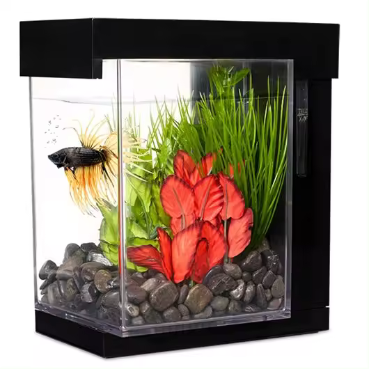 Bettera Marina EZ Care Style - 3,7L - 1