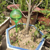 Bolas De Plástico PVC Para Riego Automático De Plantas Jardín Dispositivo De Riego Por Drip Irrigación Self Watering Drip Para Macetas - details 2