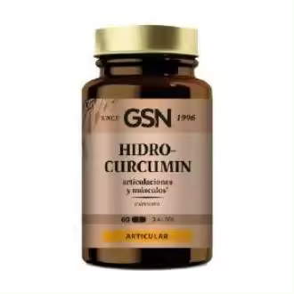 Gsn Hidrocurcumin 60Caps - 1