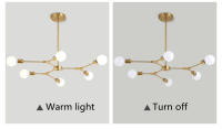 Lámpara De Techo Moderna Y Minimalista Ajustable En Ángulo Negro/Oro Chandelier Pendente Iluminación Metal E27 Fuente De Alimentación DC - details 11