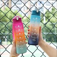 Botella De Agua Para Deportes Con Tapa De Desbloqueo Y Absorbedor De Tiempo Antirotura Y Fácil De Transportar Ideal Para Aventuras Al Aire Libre - details 1