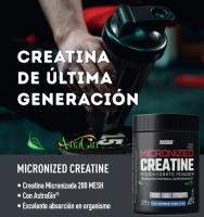 Creatina de Weider Micronized - 300g - Sabor Blue Raspberry bubble gum - details 1