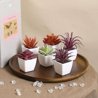 Set De 6 Suculentas Artificiales Miniatura En Vaso Blanco Para Decoración De Escritorio Librería Restaurante Y Ventanas Casas - details 21