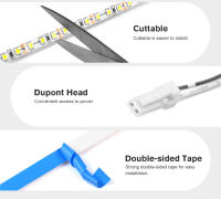 Tira De Luz LED Alta Brillo 12V 2835 Doble Capa De Cobre 5mm PCB Tape Cable DuPont Porta Luz Para Armario Y Estantes DIY - details 2