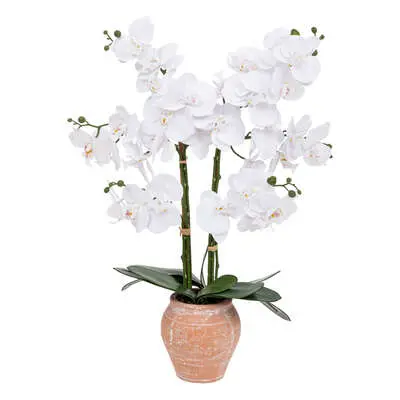 Factory Cuadros - Orquídea Dena con Maceta Terracota - 65 Cm de Alto - Planta Artificial - 1