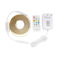 Tira De Luz LED COB Flexible 1-5M 24V CCT WW CW Dimmable Con RF 17Teclas Remote Iluminación Lineal De Alta Brillo Para El Hogar - details 11
