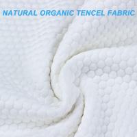Almohada de látex PremiumNatural, Ayuda a aliviar la presión, el Dolor de Cuello y Hombros, sin Productos químicos tóxicos de Espuma viscoelástica, Paquete Mejor Regalo 60×40cm - details 2