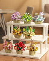 Bloques De Construcción DIY En Forma De Flor Con Plantas Suculentas Modelo De Bonsái Jardín Romántico Para Niños Y Adultos - details 2