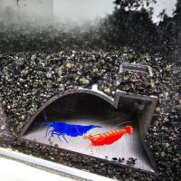 Cueva De Peces Tubo De Pasaje Plástico Para Tanque De Peces/Aquario De Langosta Zona De Juego Y Descanso - details 2