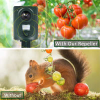 Repellente Ultrasonido Para Gatos Exterior Jardines Repelente De Animales Insecticida Impermeable Repulsor De Zorro - details 4