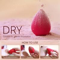 Set De 2 Pinceles De Silicone En Forma De Calamar Para Maquillaje Y Cuidado De La Piel Kit De Esponjas Para Cosméticos Herramientas De Belleza - details 8