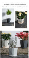 Macetas De Plástico Para Interiores Y Exteriores Grandes Para Plantas Succulentas Y Verdes Maceta Clásica Para Escritorio - details 2