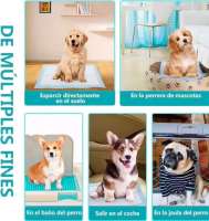 Empapadores Perros ] Almohadillas Higiénicas Super Absorbentes40 x50 60 x60 60x90 cm, Empapador para Perros Toallitas de Entrenamiento Desechables Protector Cama Cachorros Anti Olor - details 0