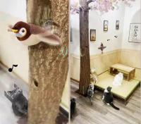 Juguete Interactivo Para Gatos Y Perros Con Algodón PP Y Tela Squeaky Recargable Por USB Bird Patrón Activado Por Toque Incluye Catnip - details 6