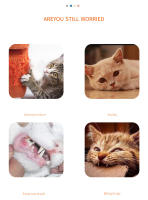Juguete Para Gato Raíz De Zanahoria Sonido Resistente Mordedor De Papel Y Cuerda Para Limpieza Dental Juguete Interactivo Para Gatos - details 1
