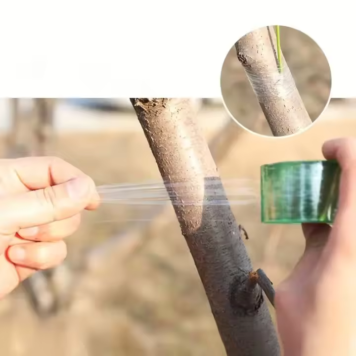 Cinta Autoadhesiva De Grafitación De Alta Calidad 3cm Ancho Para Enraizamiento De Frutas Árboles Y Semilleros Sin Nudos Necesarios - 1
