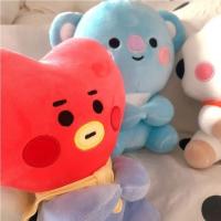 Muñecos De Peluche BT21 Mini Kawaii 12-22cm Llavero Colgante Para Billetera Juguetes De Animales Suaves Para Niños Regalo - details 5